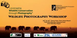 wildlife photography workshop