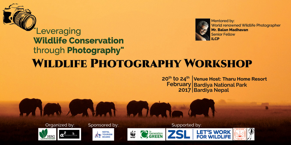 wildlife photography workshop