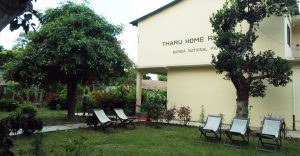 tharu home resort