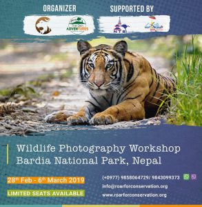 Wildlife Photograhpy Workshop